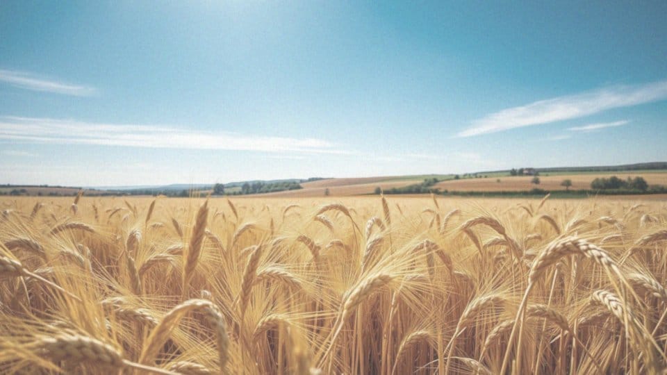 Jakie czynniki genetyczne mogą wpłynąć na ryzyko zachorowania na raka skóry?