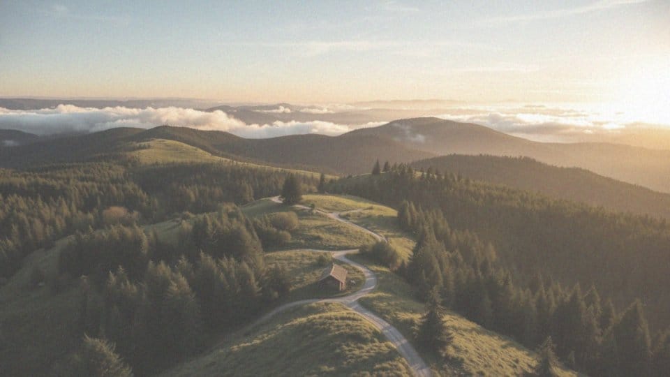 Co sprawia, że Beskidy są wyjątkowym miejscem w Polsce?