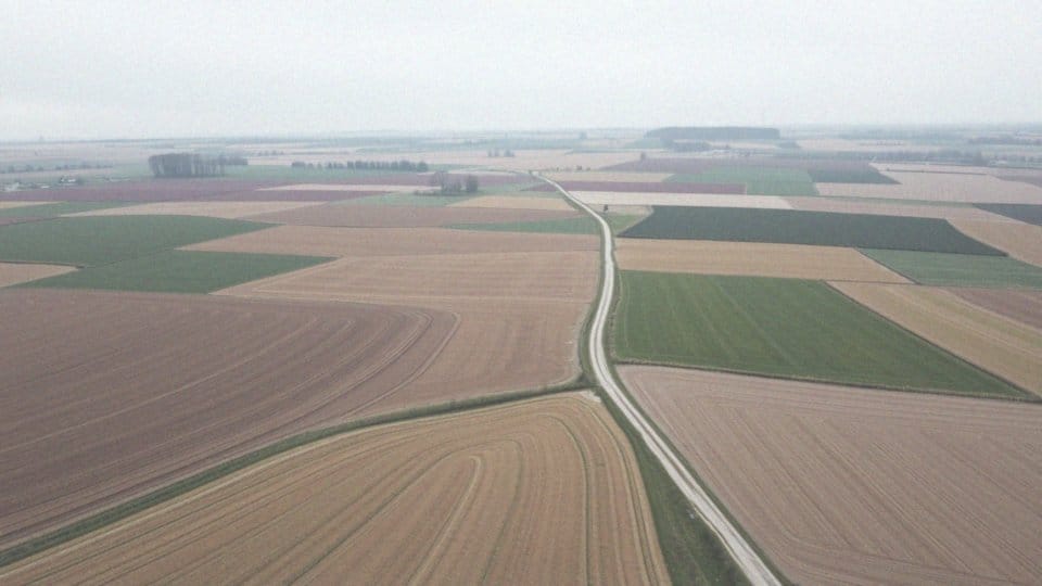 Jakie są statystyki Głównego Urzędu Statystycznego dotyczące cen gruntów rolnych?
