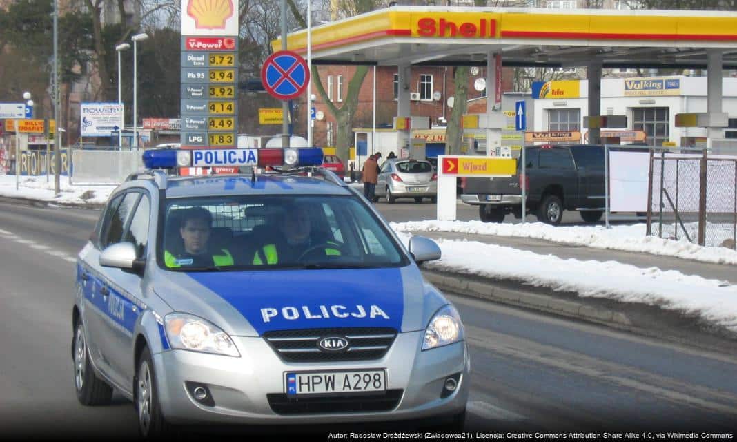 Bezpieczeństwo pieszych w okresie jesiennym – apel do kierowców