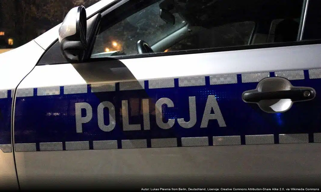 Policja kontroluje legalność sprzedaży choinek przed Świętami