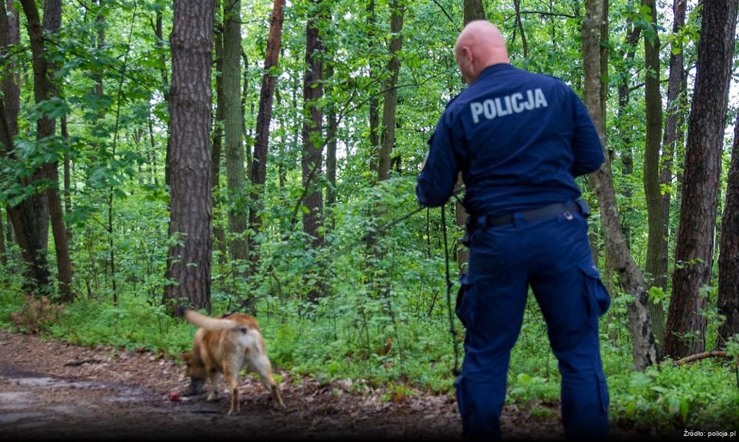 Obywatelskie ujęcie nietrzeźwego kierowcy w Jarocinie